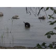 Skönt att skrapa på havets botten