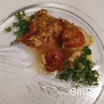 Broiler bake with lasagne sheets