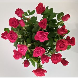 Red rose bouquet