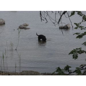 Skönt att skrapa på havets botten